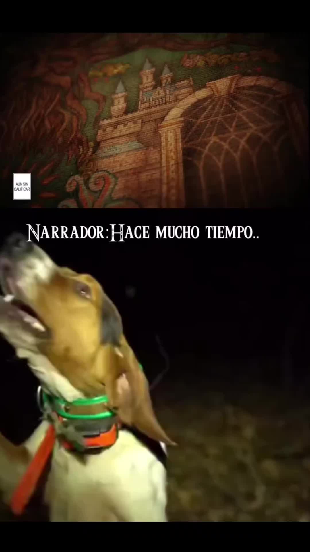 @Elterrak