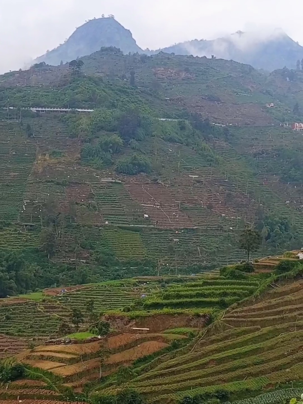 @jaka swara
