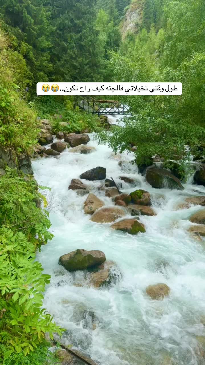 @Ghazl.