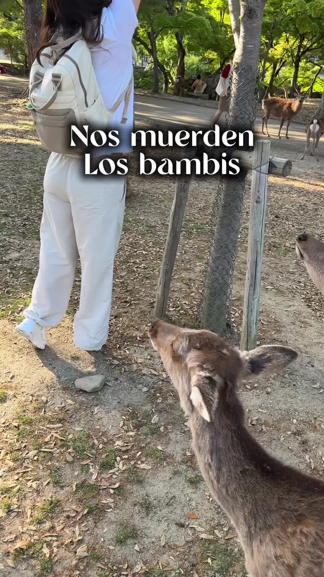 @juancadvisor