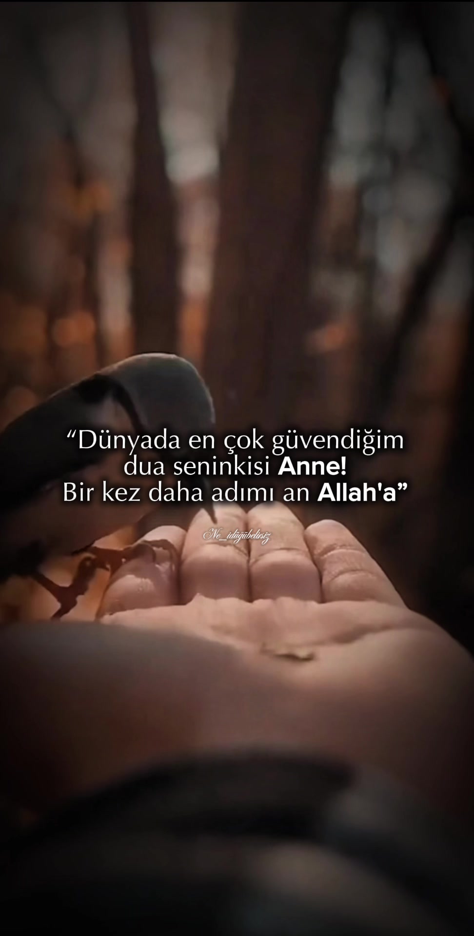 @ne_idugubelirsiz