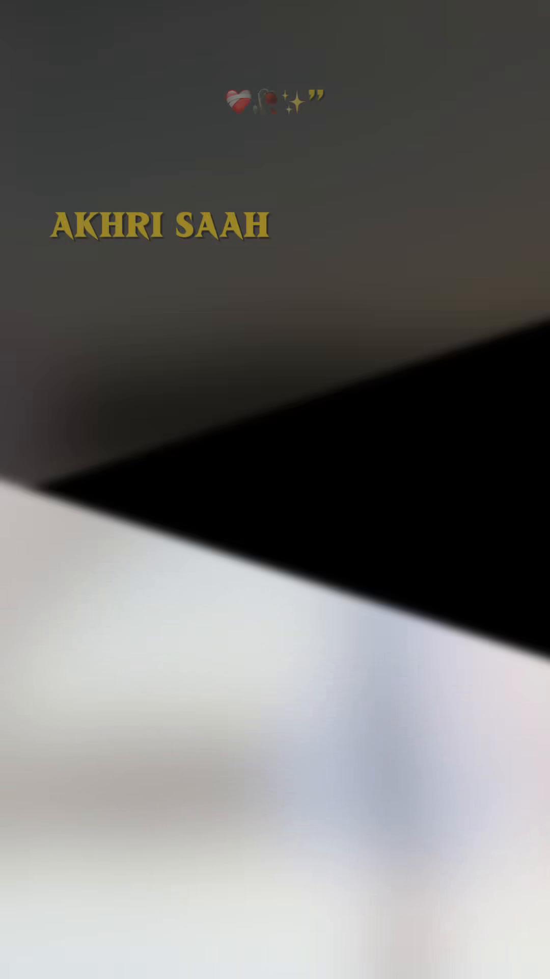 @حسن __نمبر دار🥷🦅