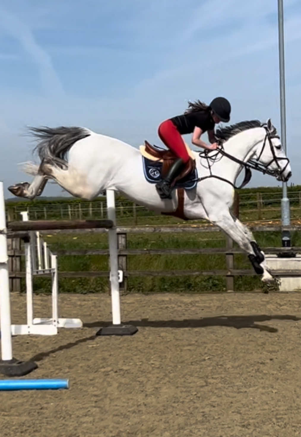 @Joss 🇬🇧🐴