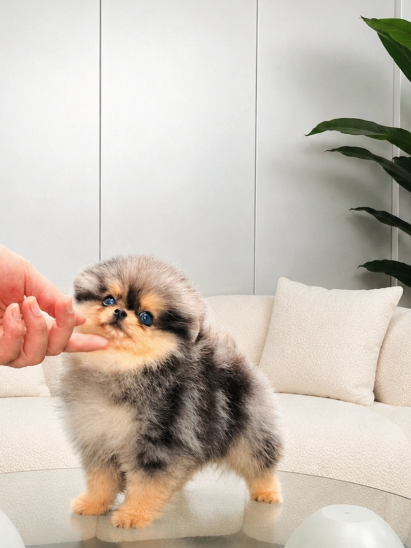 @Tiny Treasures Tea Cups