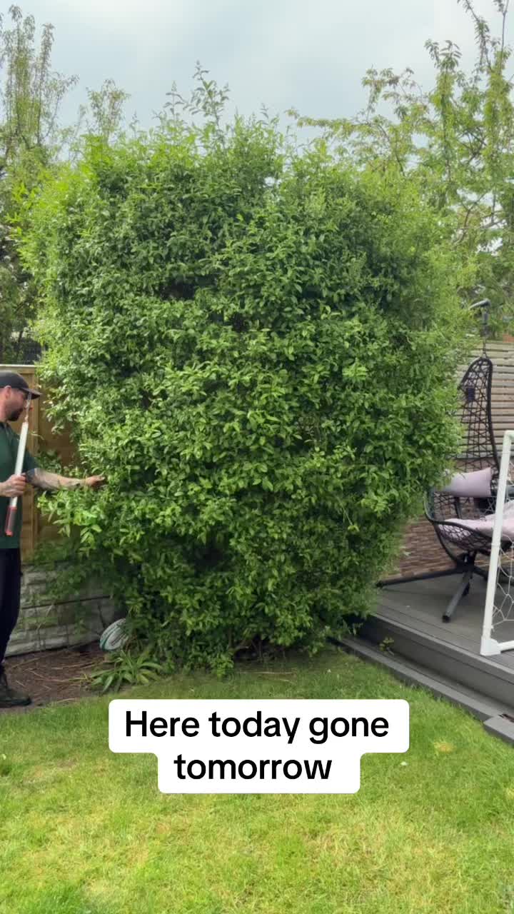 @GardenStyle