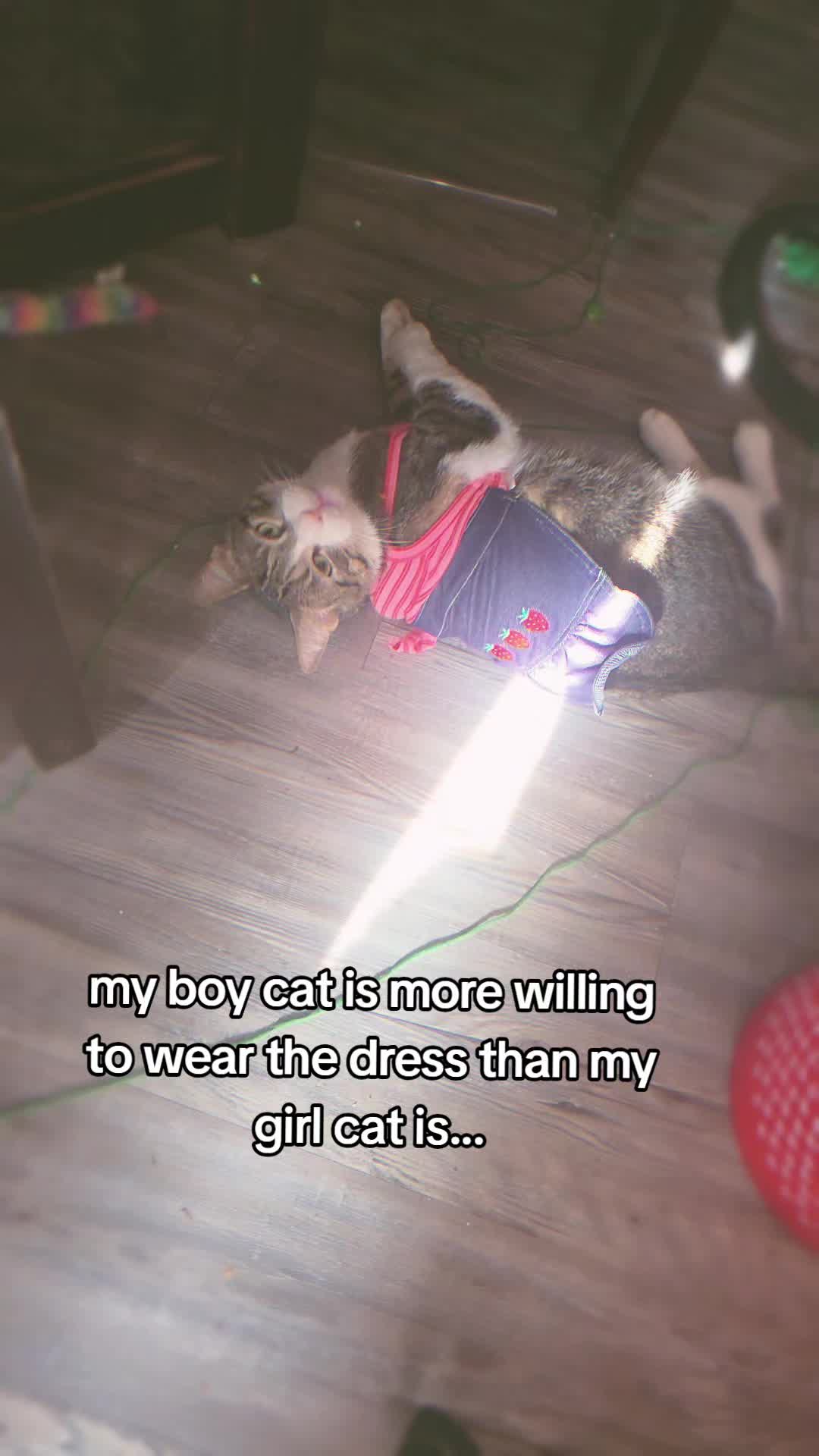 @🍓🩷Kitty🩷🍓