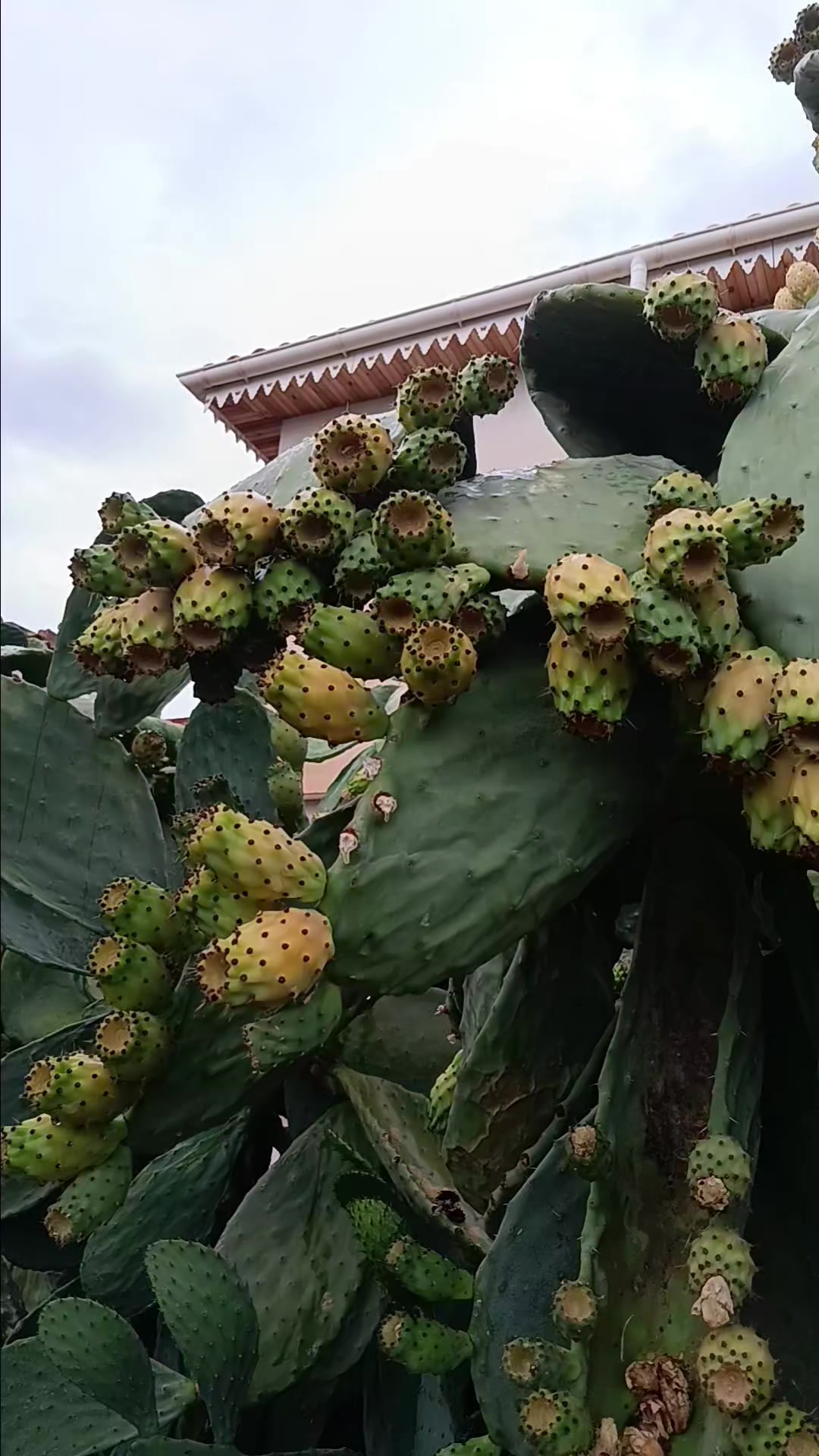 @ใทใ ๐ฌ.๐ธ๐ ใทใ