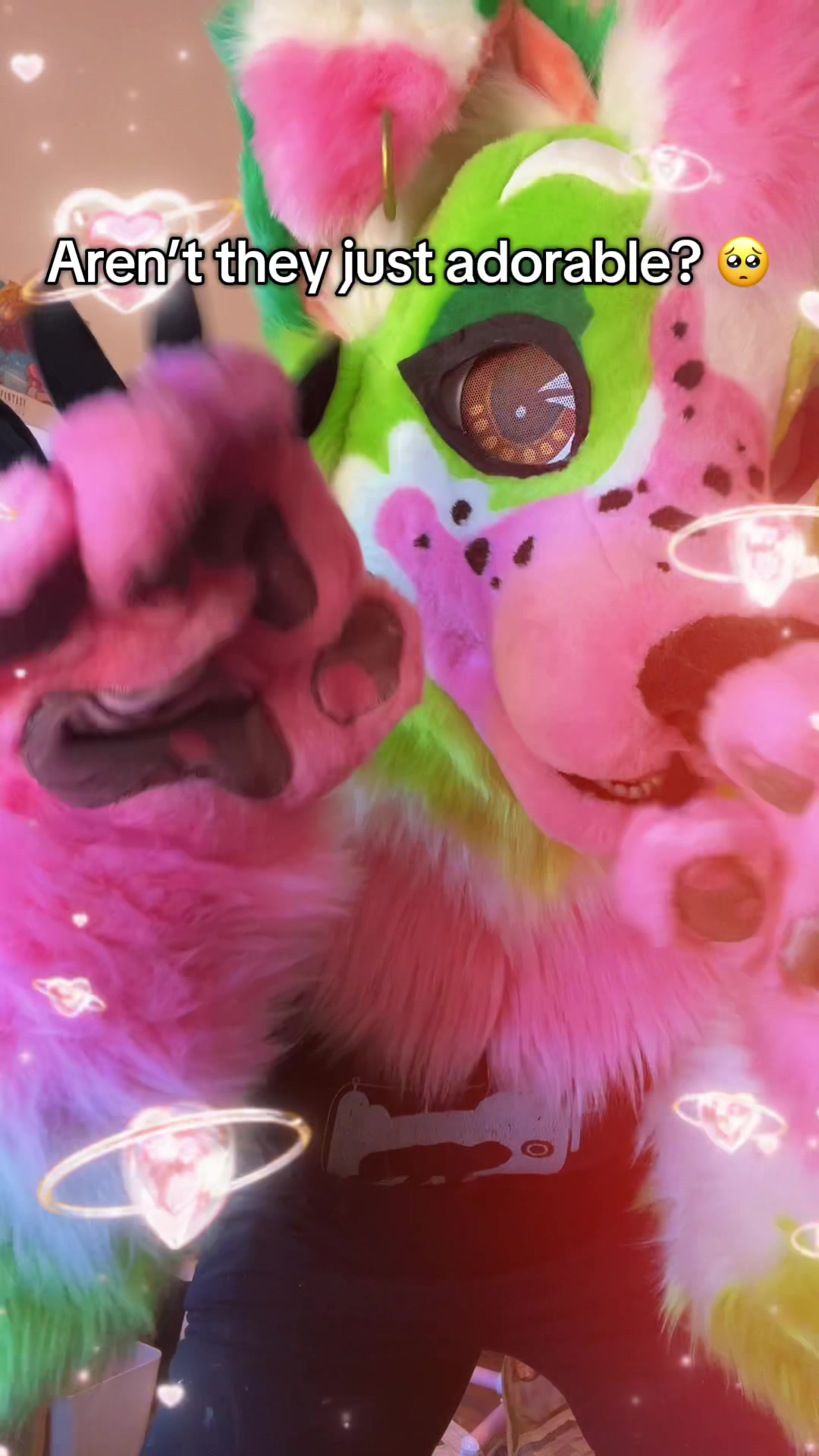 @🏳️🌈Astra Nyxia🐈