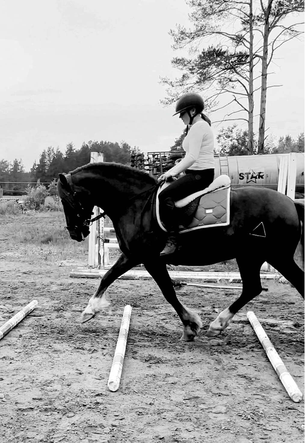 @🌟Emelie & Tian🌟