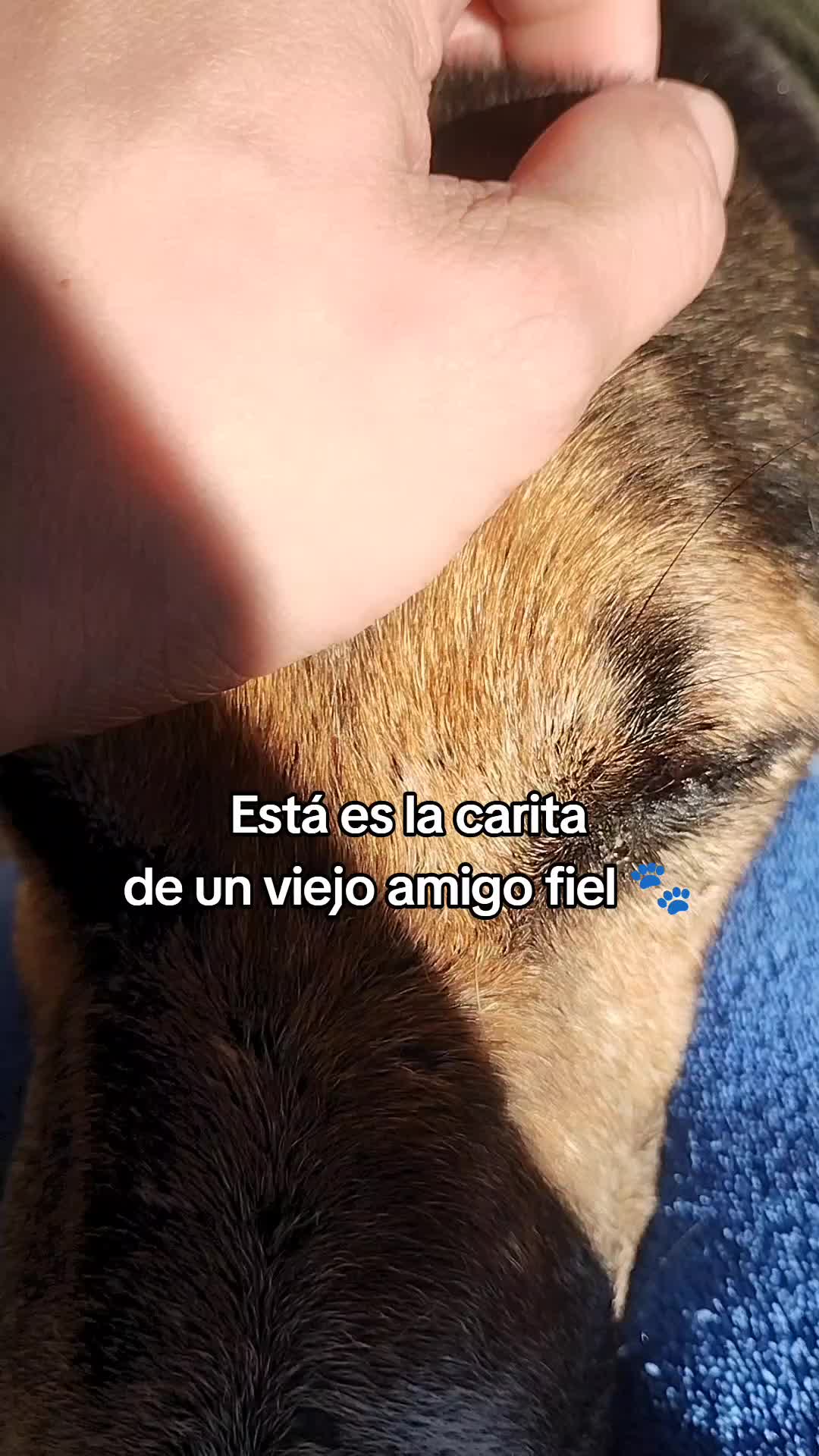 @Josh Franco