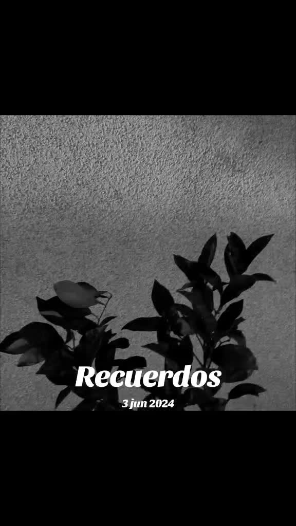 @Gabo! Muñoz