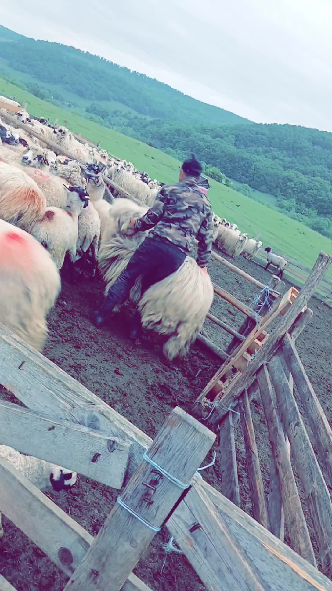 @😈 ilie...velțan.30😈
