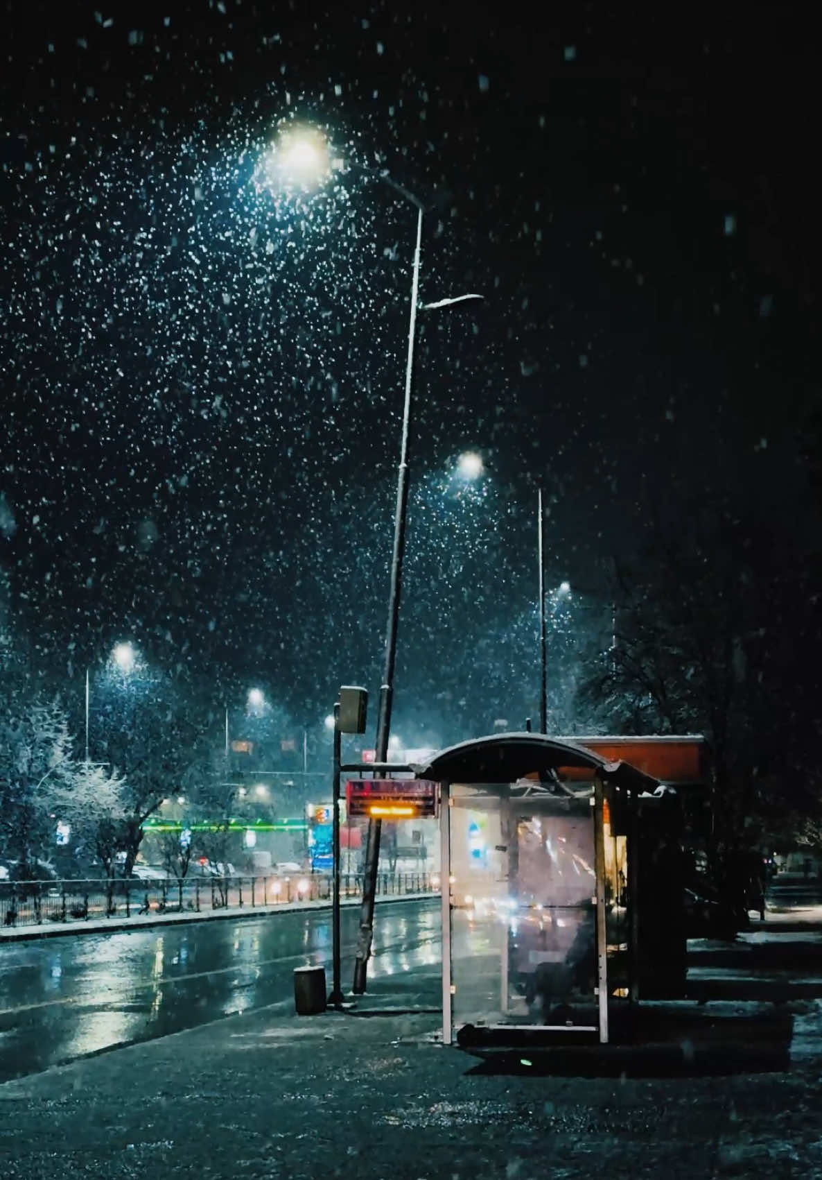 @lyonvisuals