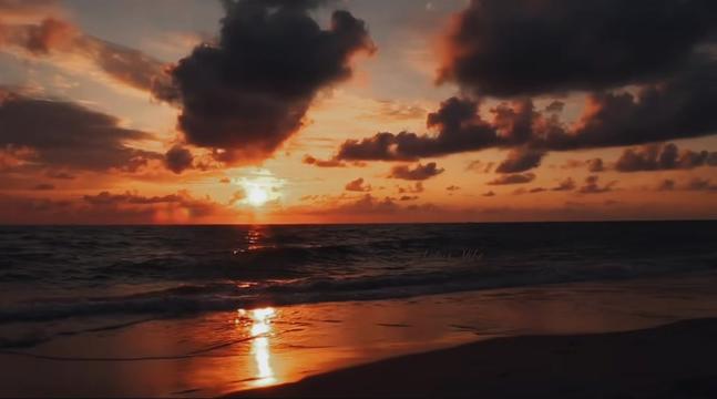 @Lotus_Vibe