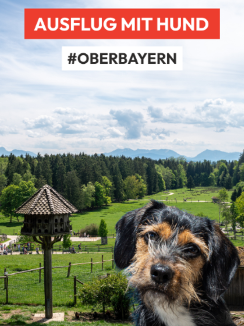 @Food & Travel | München