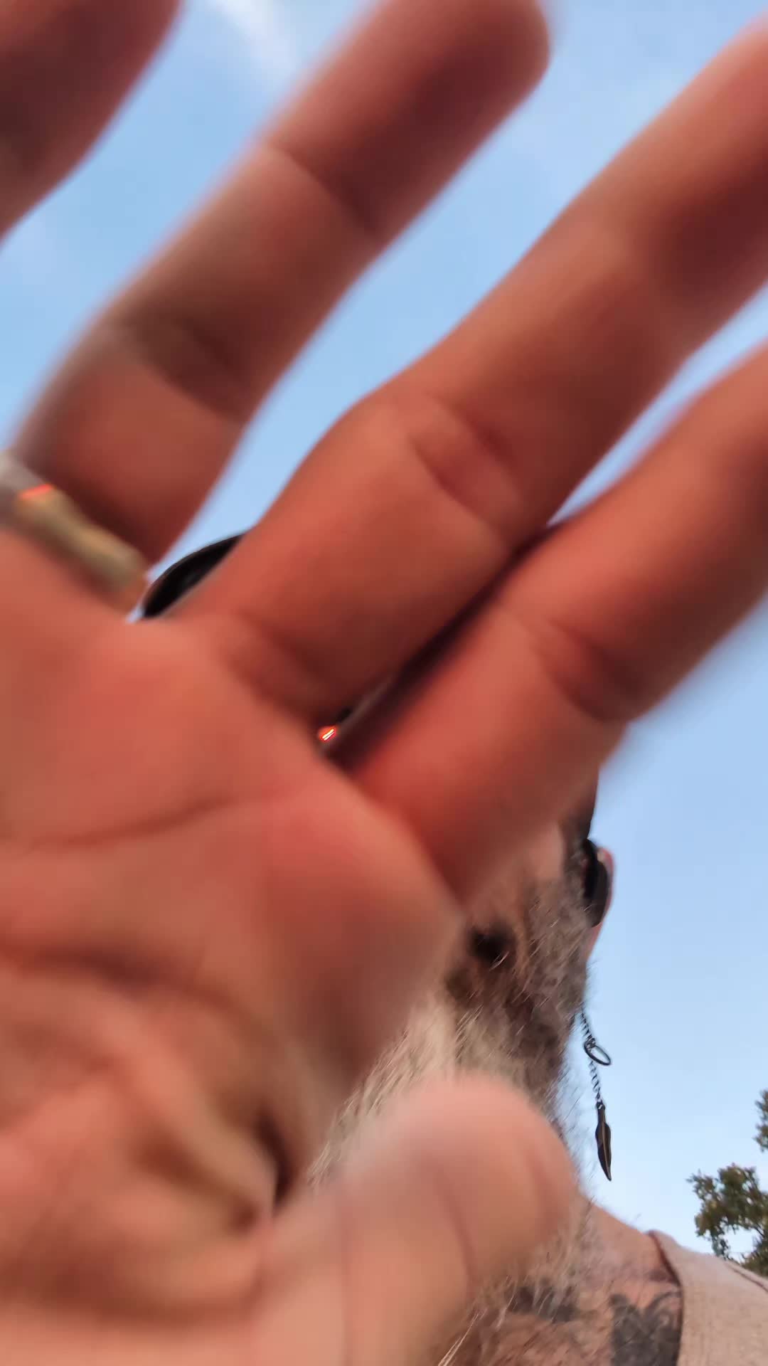 @OhBoyitsCoy๐๐โ๐ช