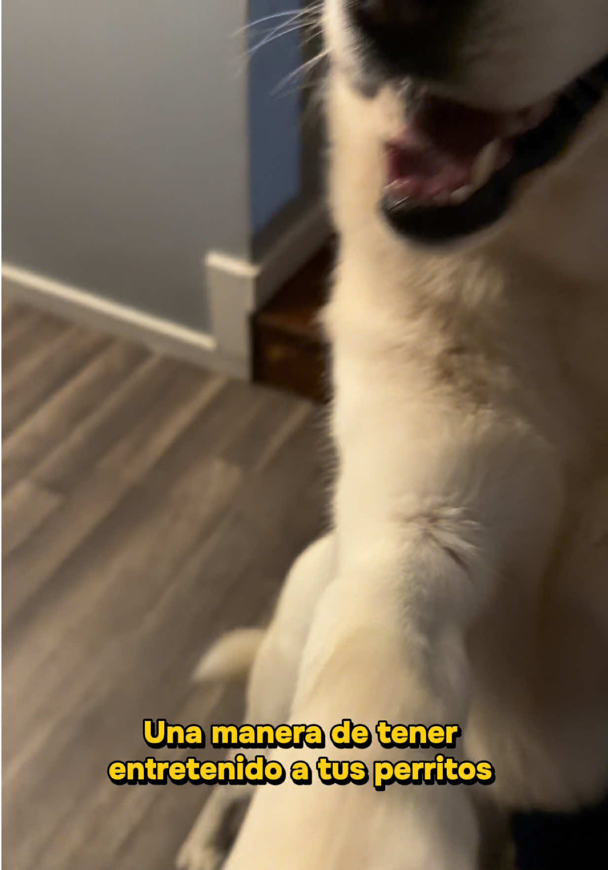 @Vanessa Mendoza