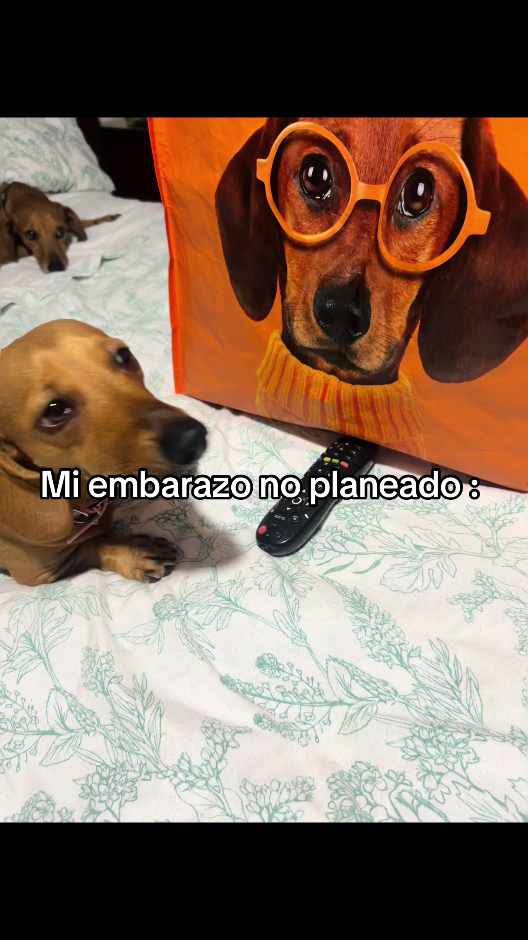 @Diana Bernal