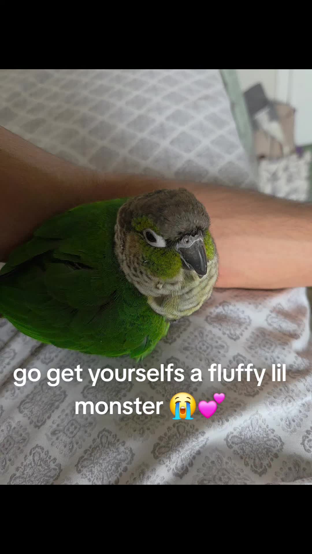 @HASAGI