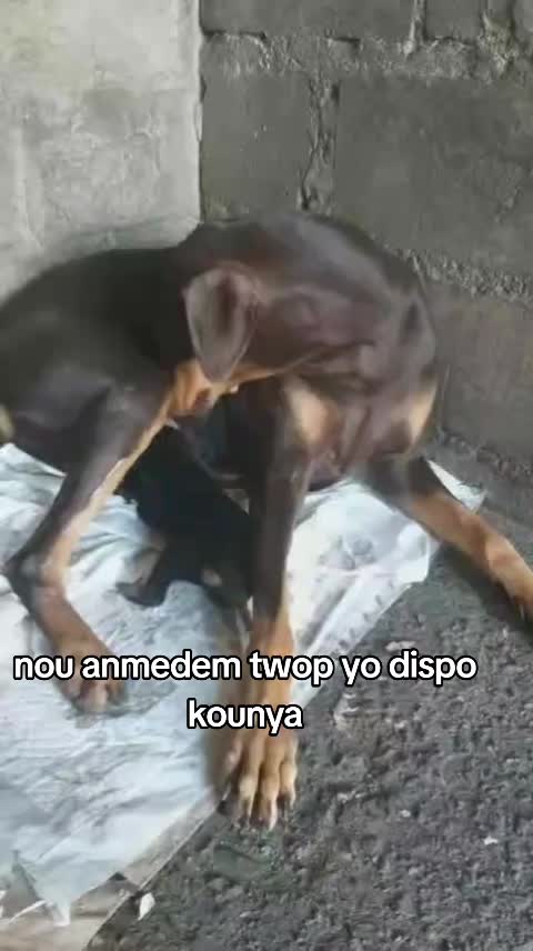 @Bendog