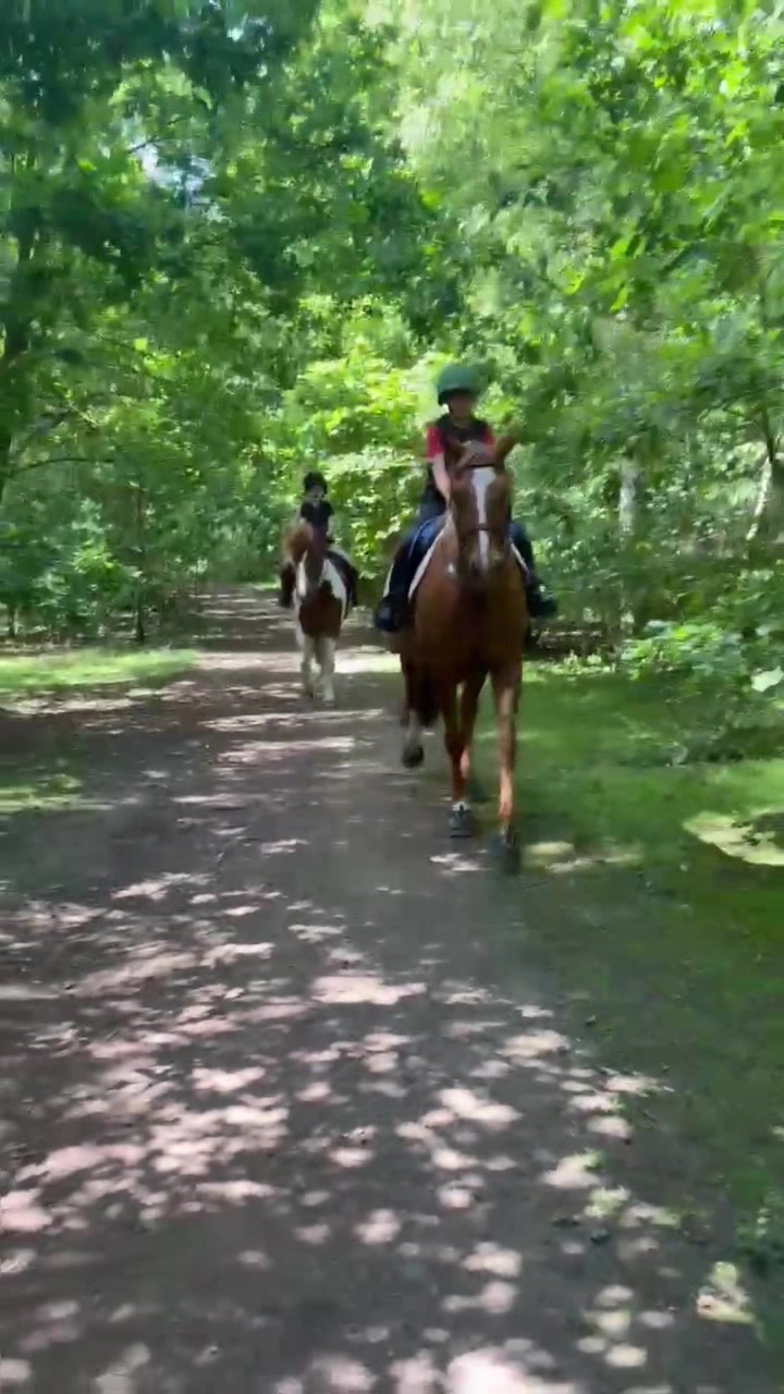 @LottiesHorseAdventures🦄🐴