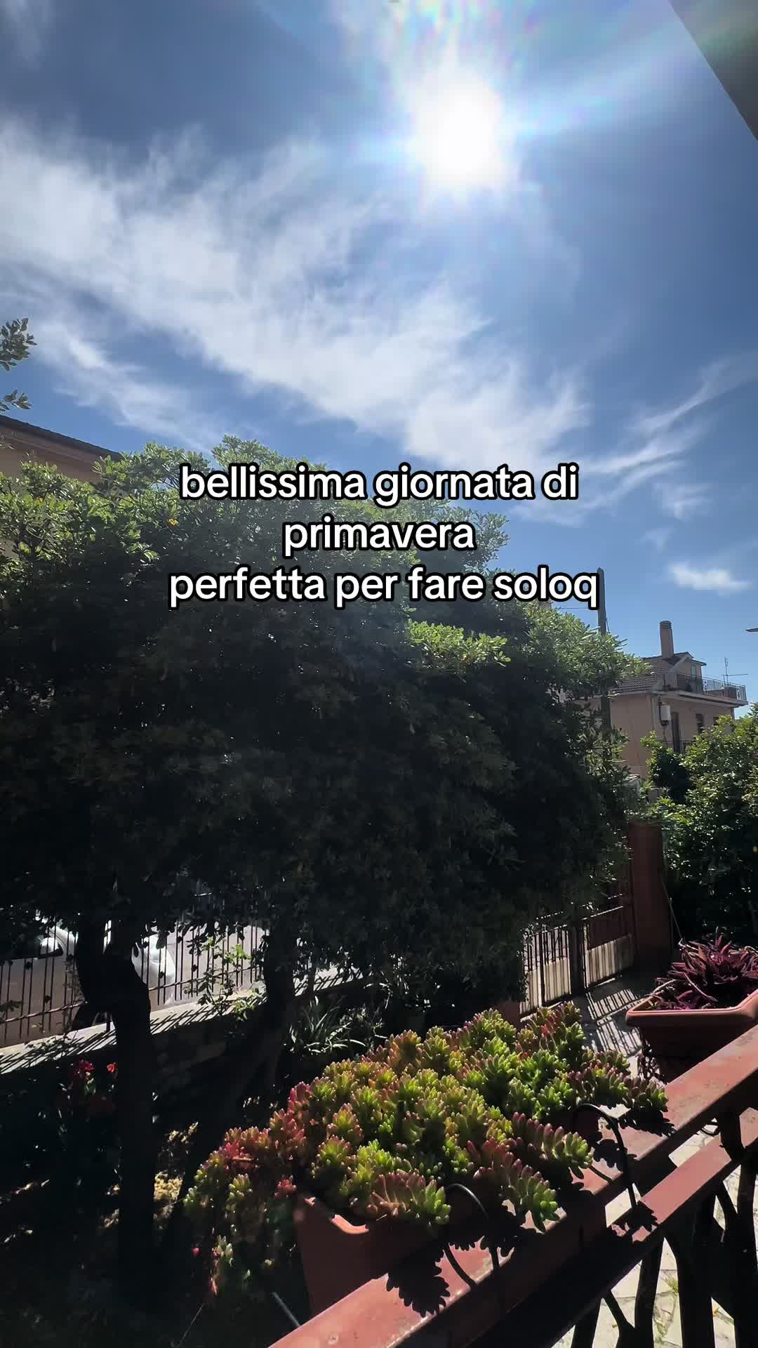 @ffaelina