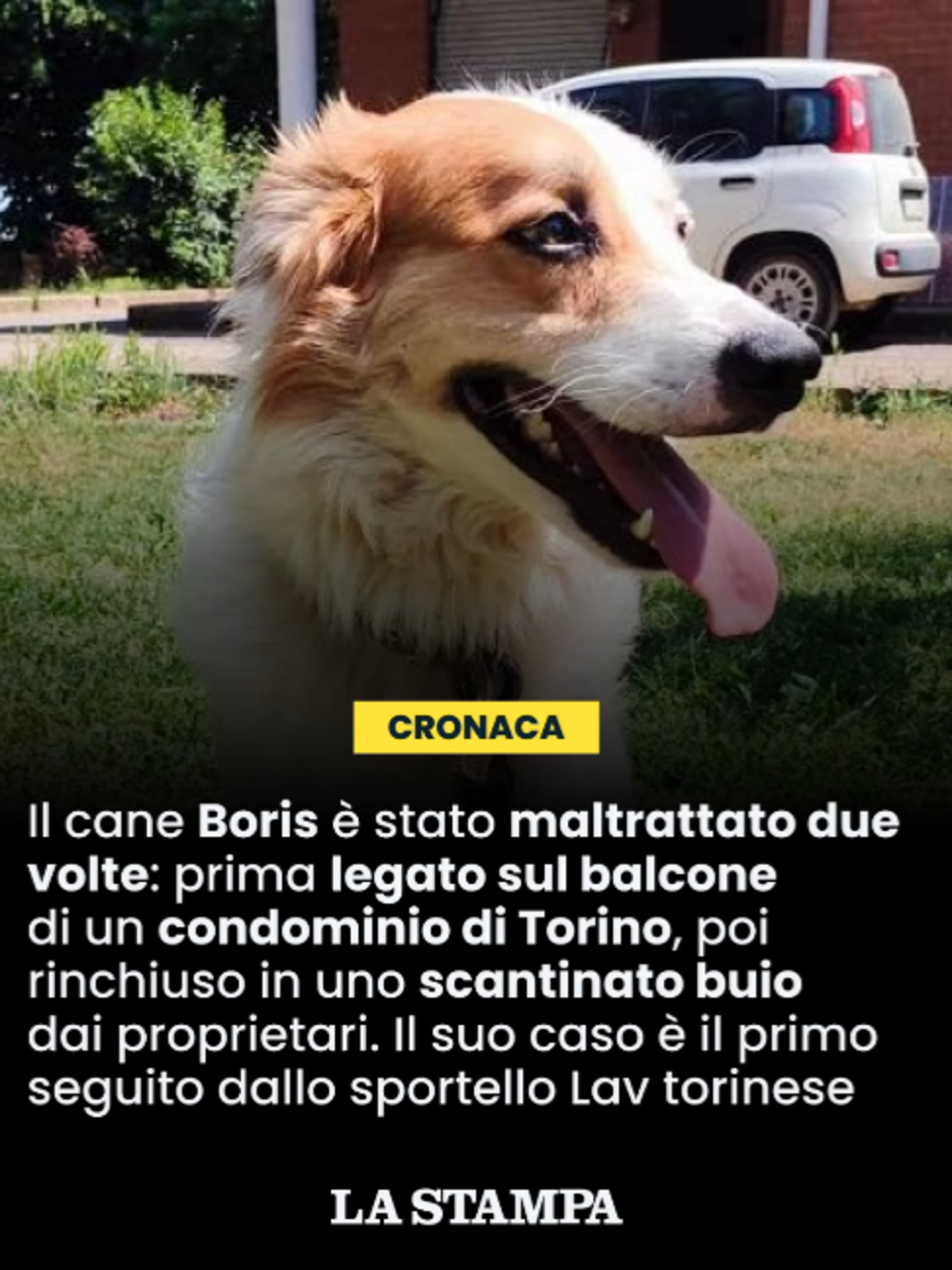 @la.stampa