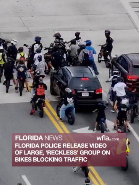 @WFLA News Channel 8