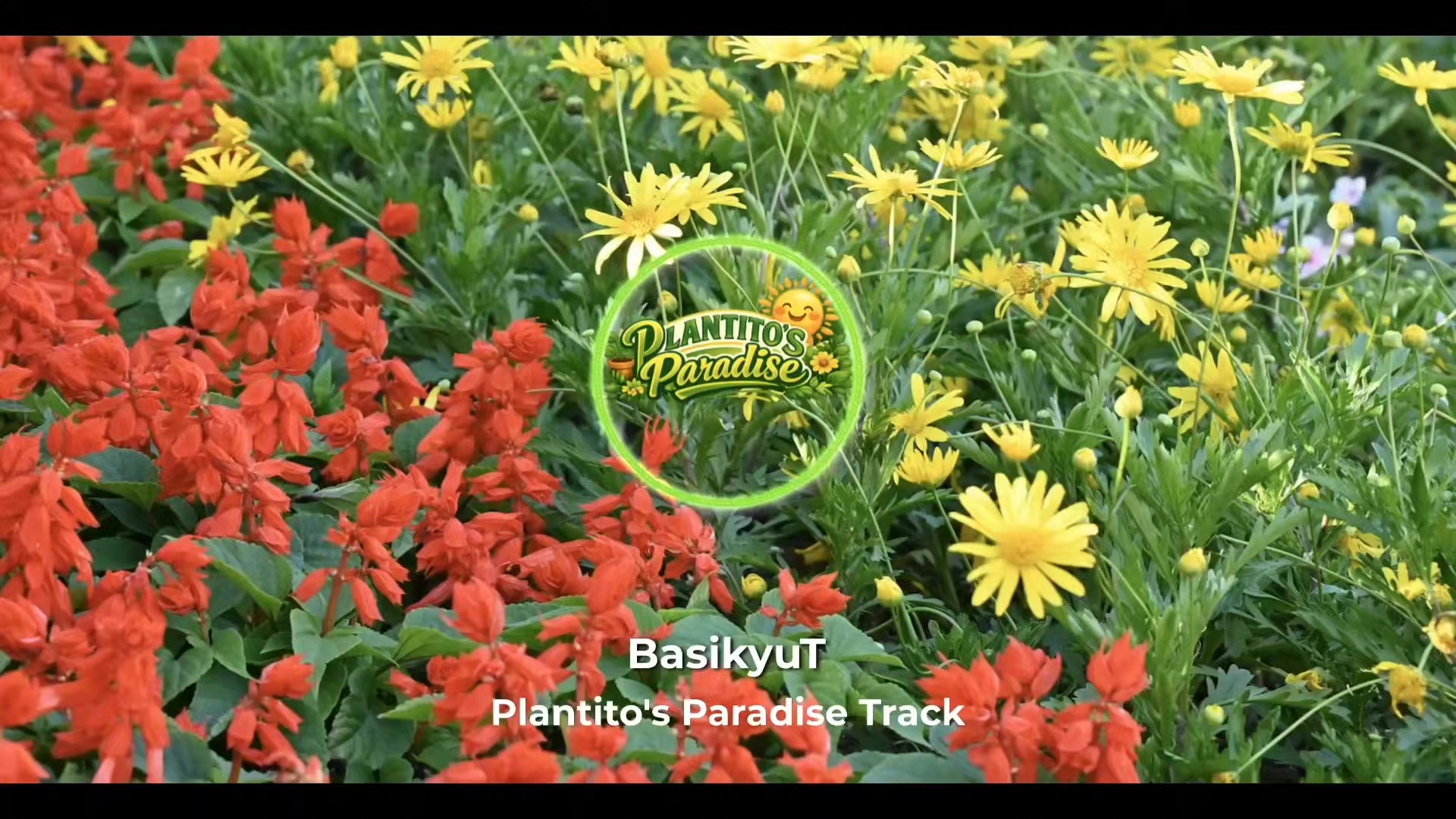 @BasikyuT