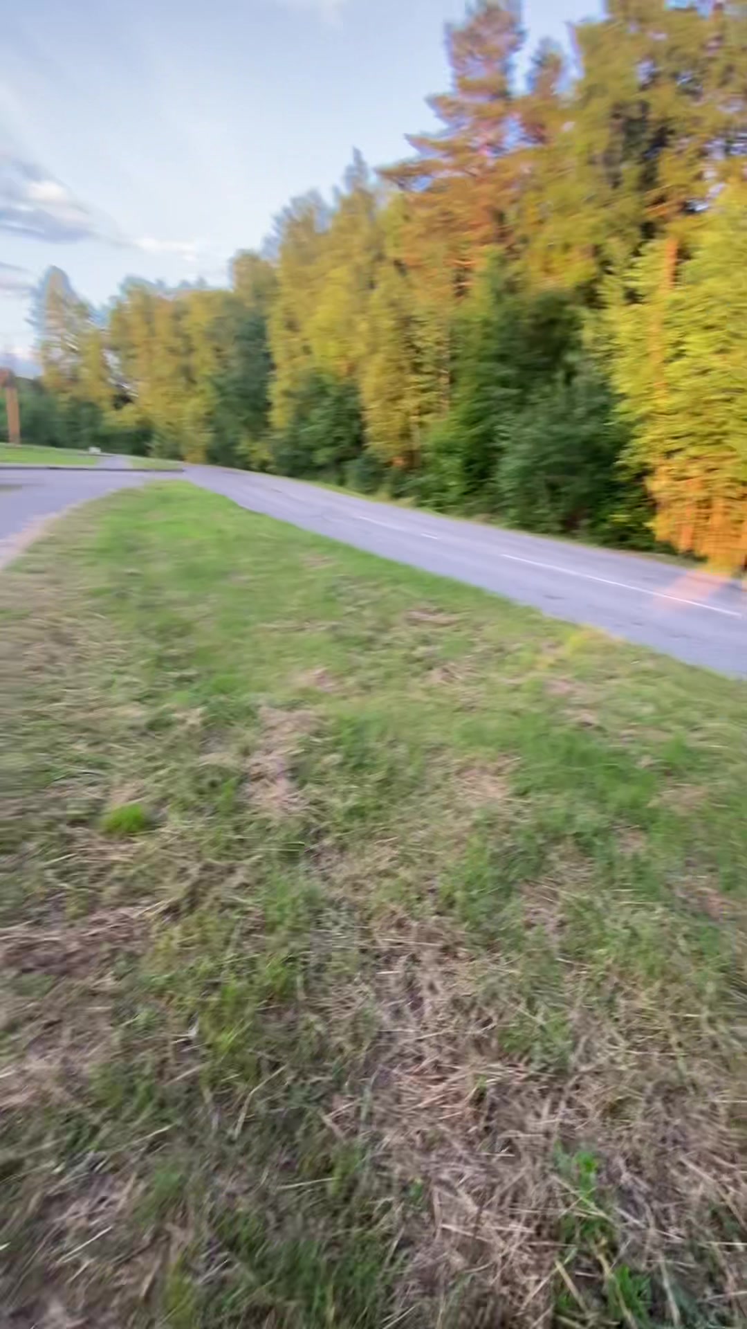 @бинга