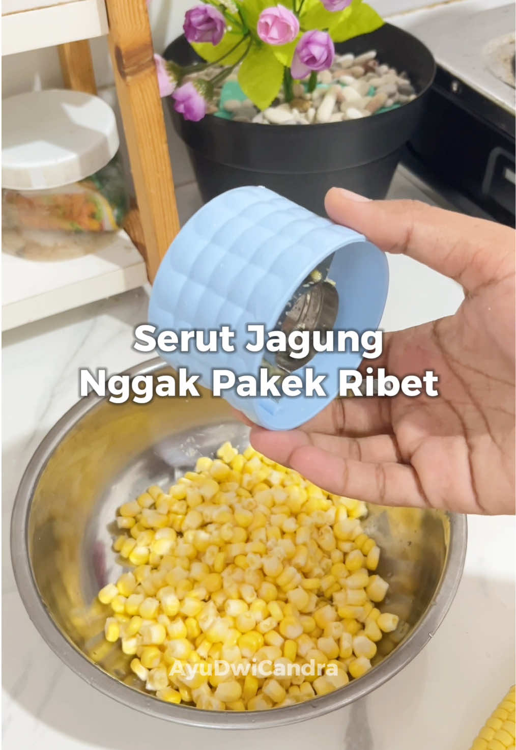 @RumahMiniAyu