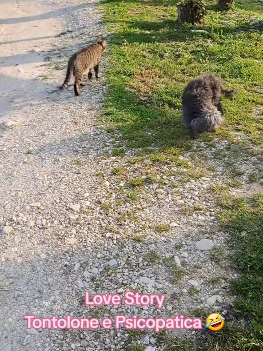 @Isobel ❤️ Pandora & SkifoGatti