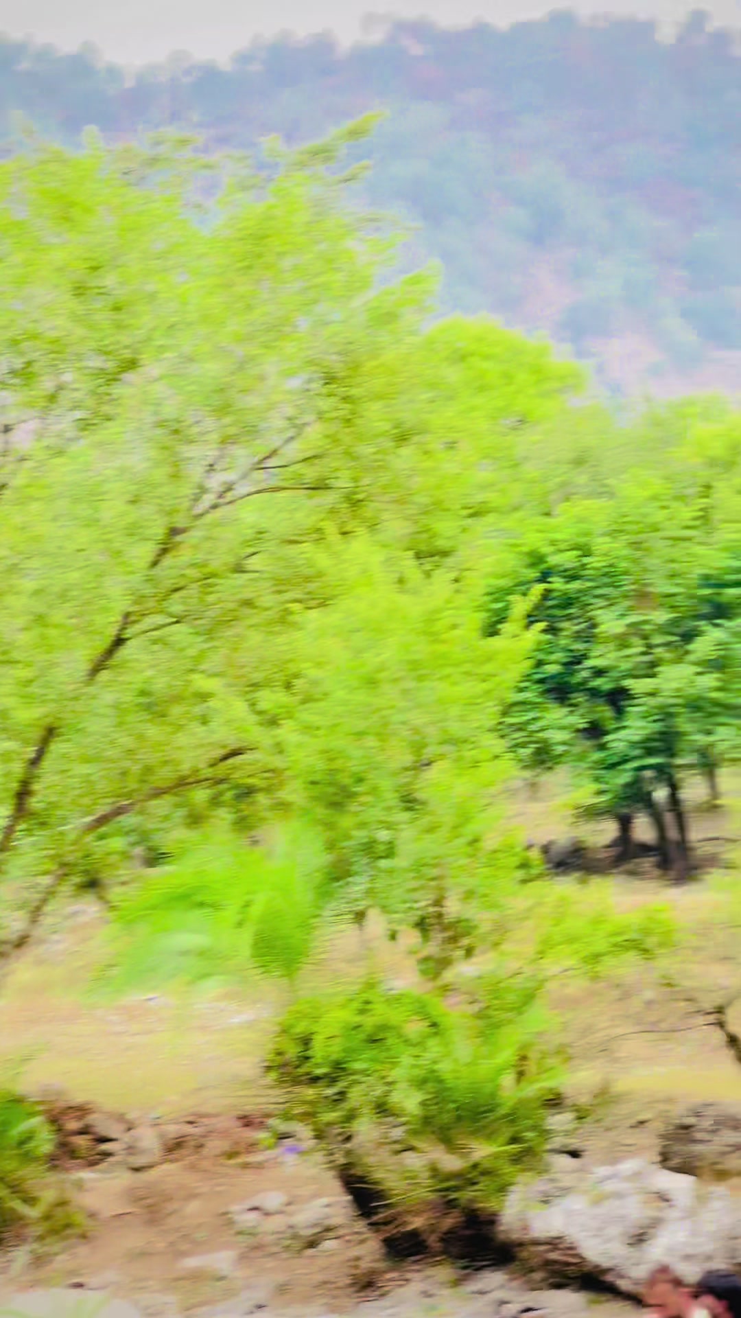 @𝗜𝗗𝗥𝗘𝗘𝗦 𝗢𝗙𝗙𝗜𝗖𝗜𝗔𝗟