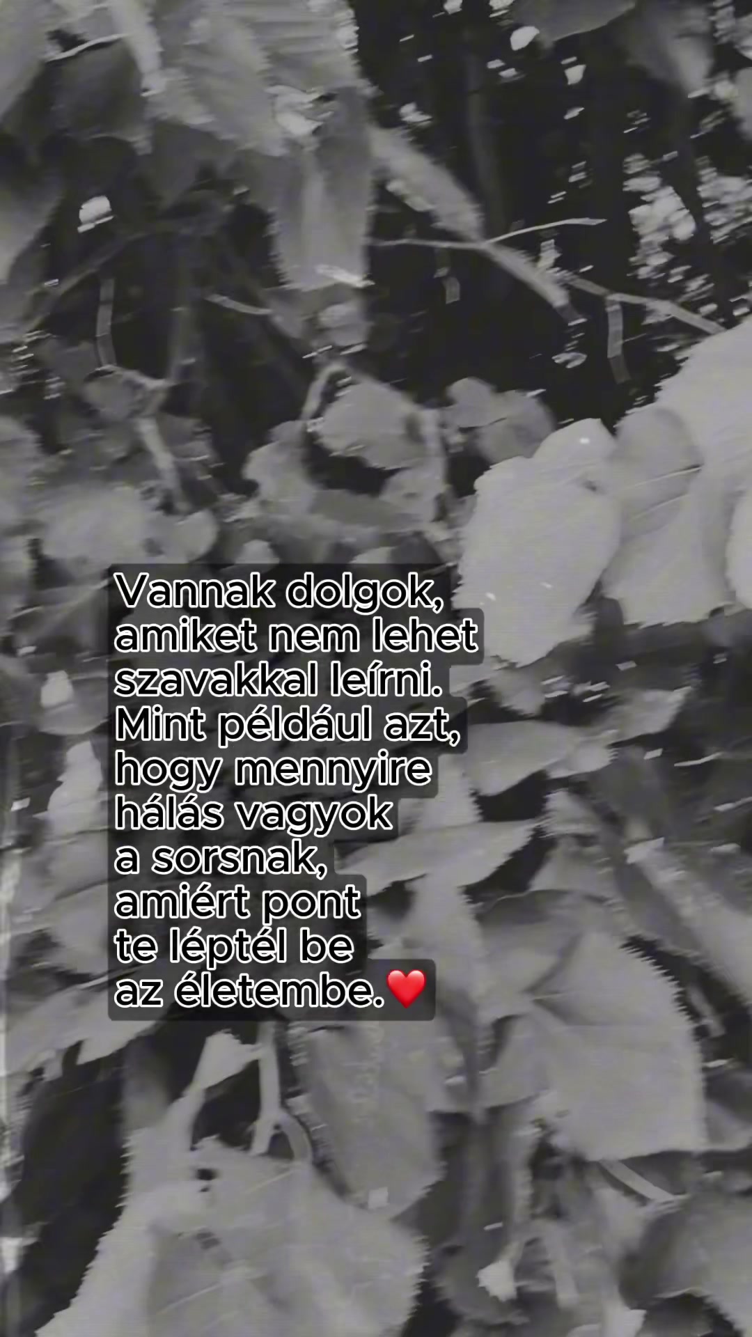 @versek_idezetek_1