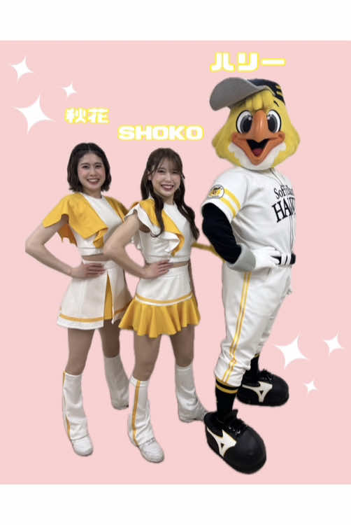 @ハニーズ