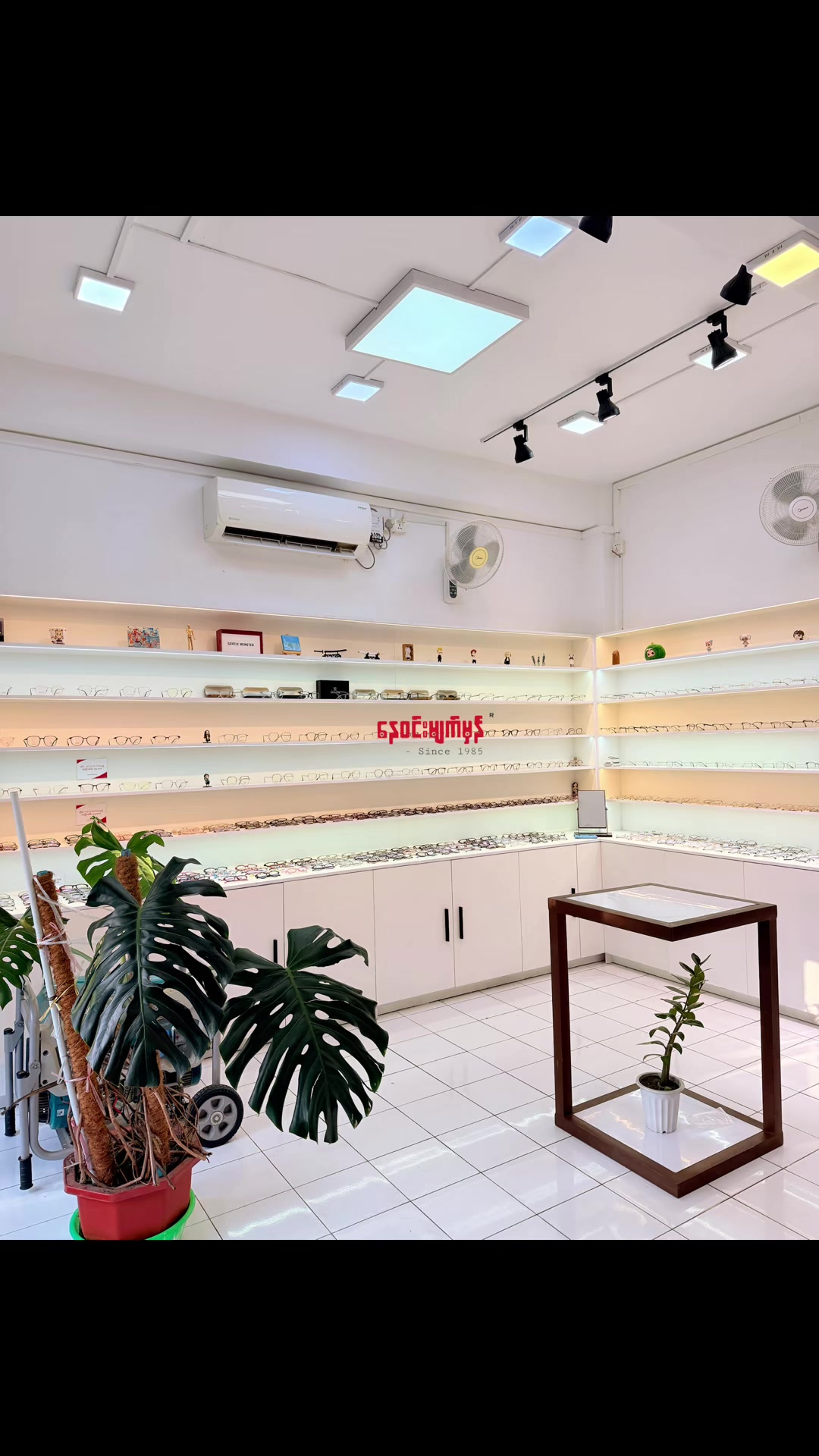 @Ne Win Optics-Since 1985®ď¸