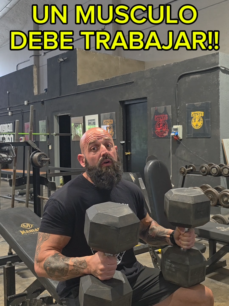 @Strongman Tarrako