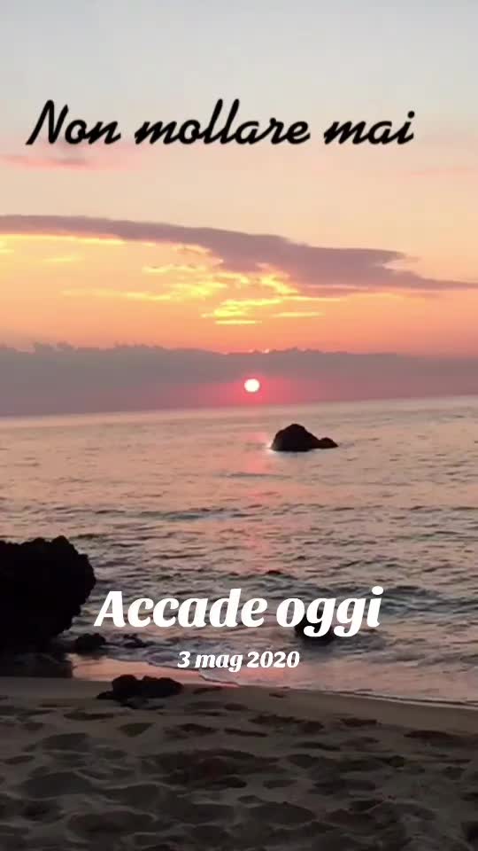 @barbara mocci