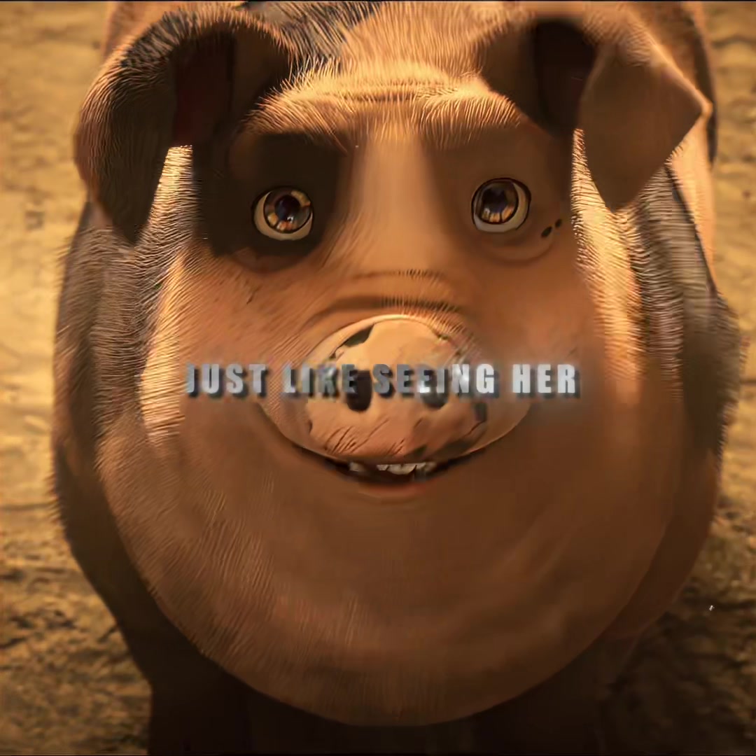 @peters.productions