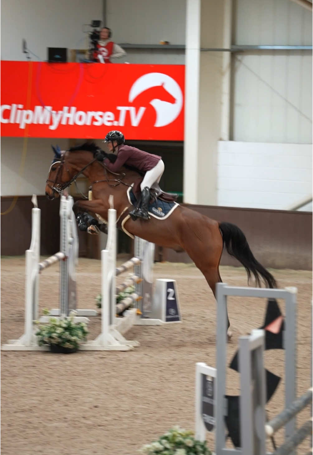 @Lucy Struthers Horses