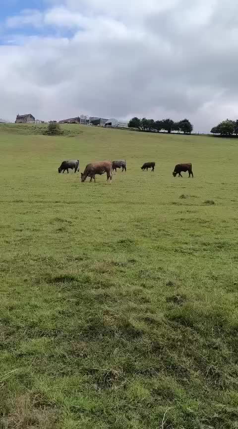 @Animal & Nature Lovers