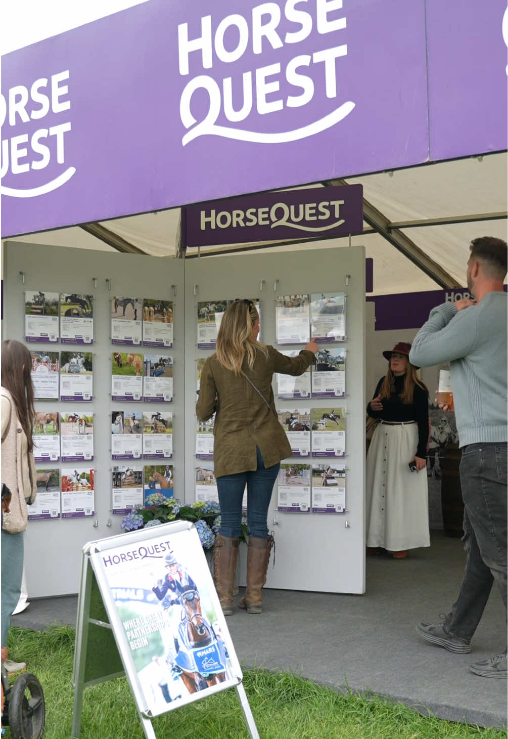 @HorseQuest - Horses for Sale