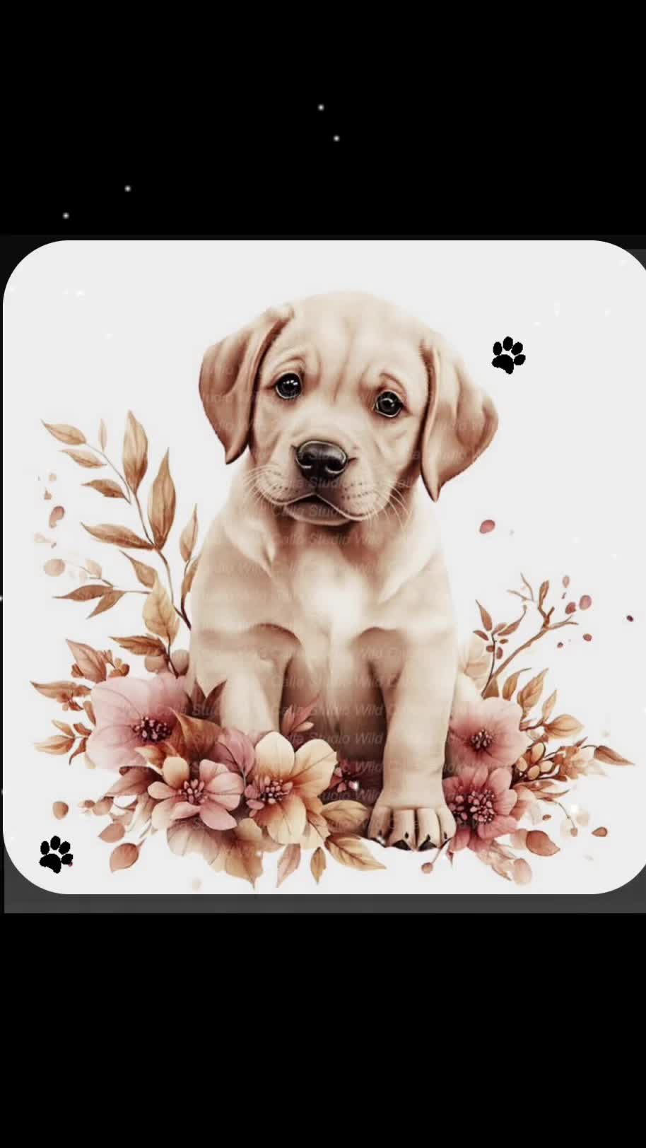 @chloes_life🥰