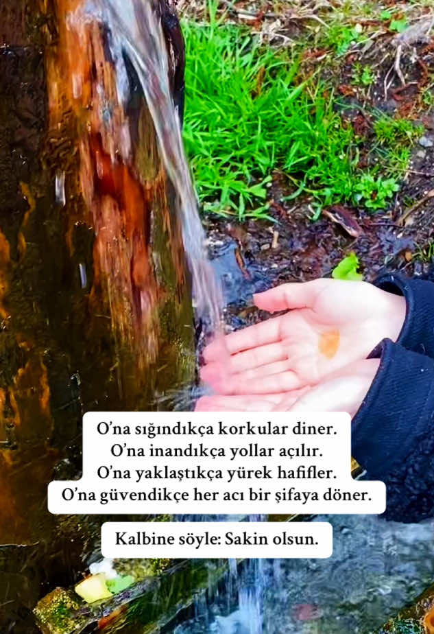 @mutlubirtabak