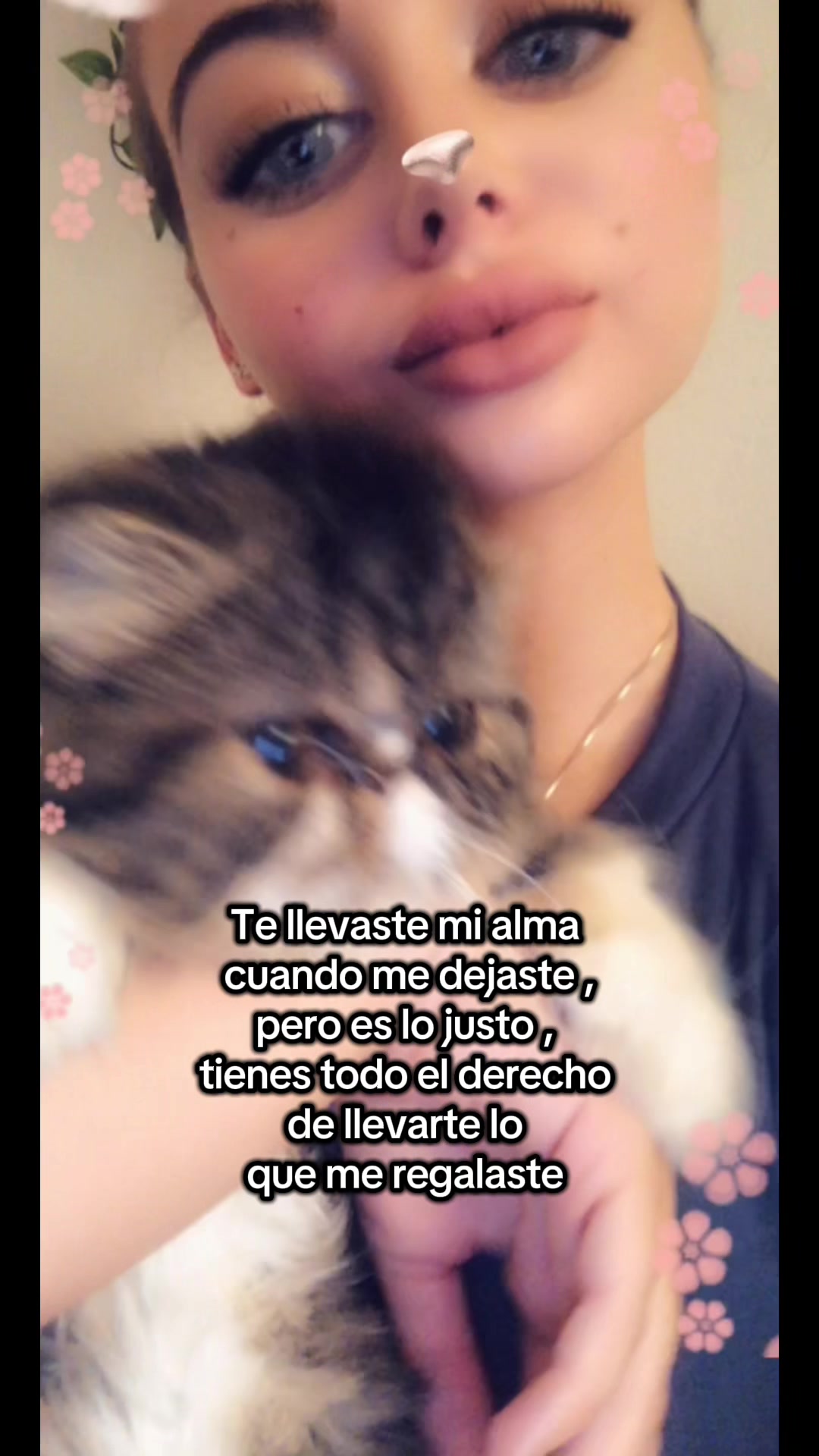 @Clauwendia