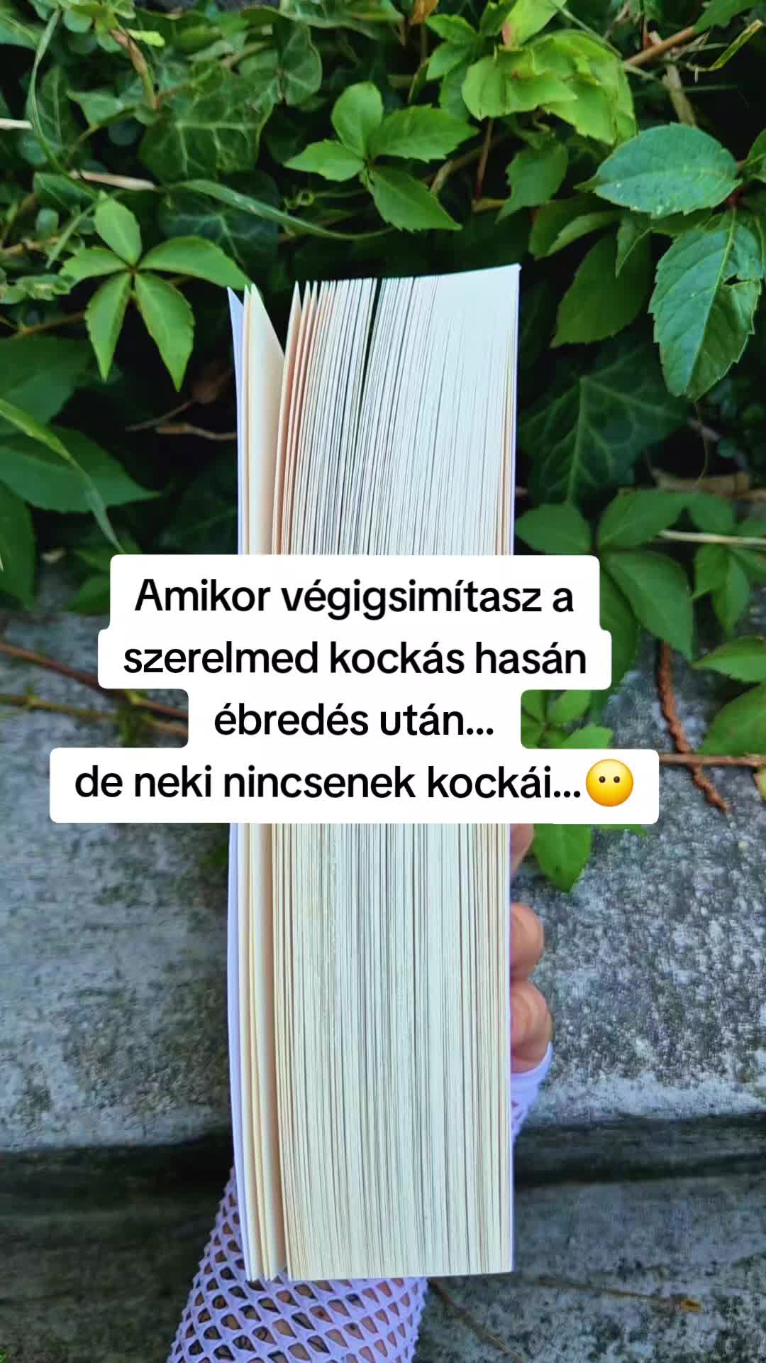 @Mezőföldi Pitypang író✍️