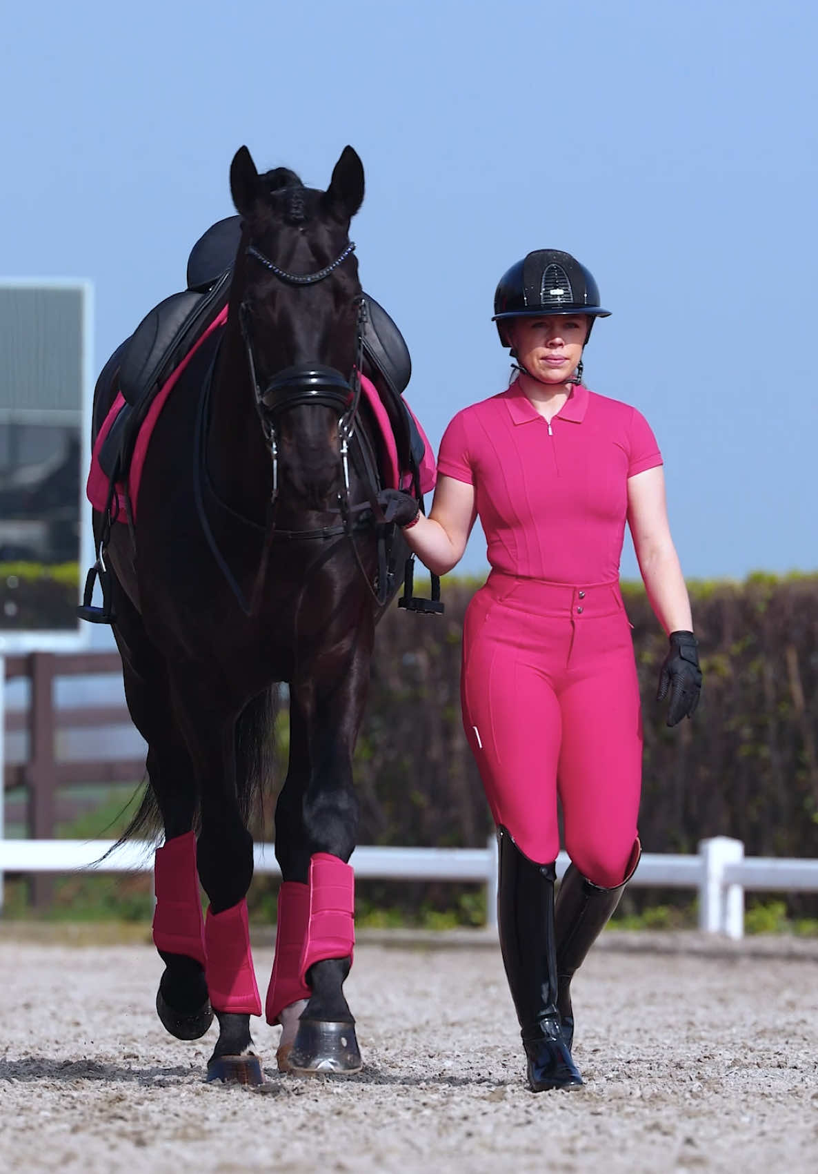 @Maximilian Equestrian