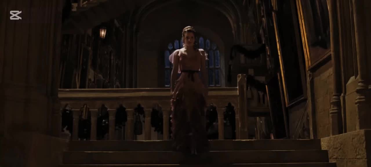 @harrypotterfan8507