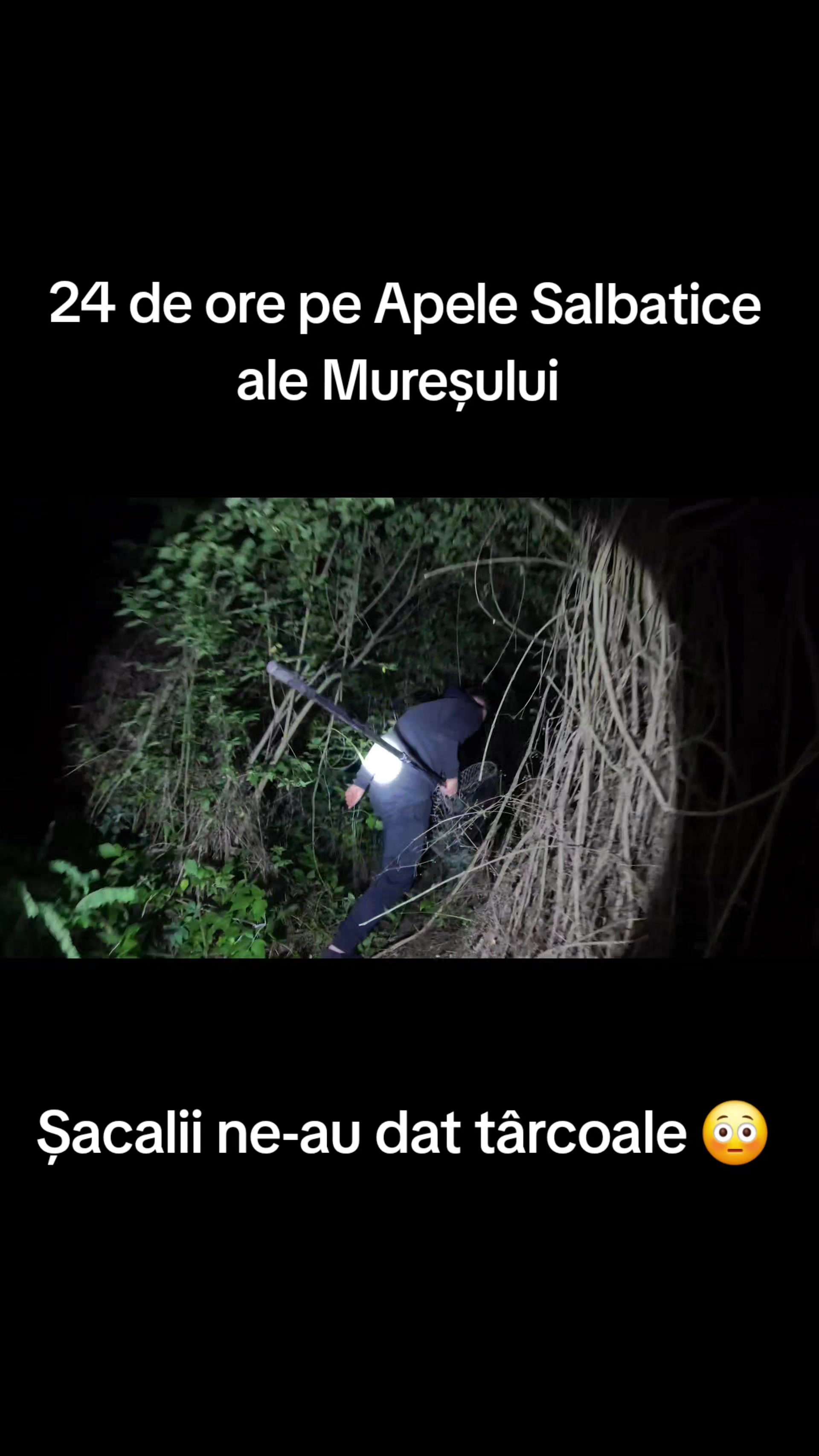 @Vanatorul De Comori