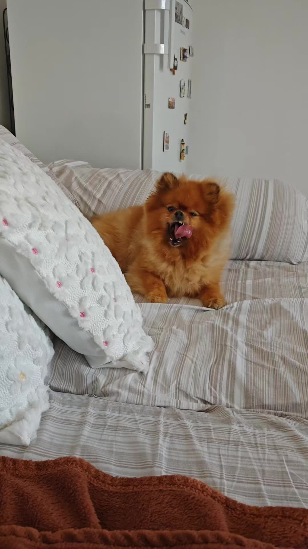 @Nicoletta 🥰